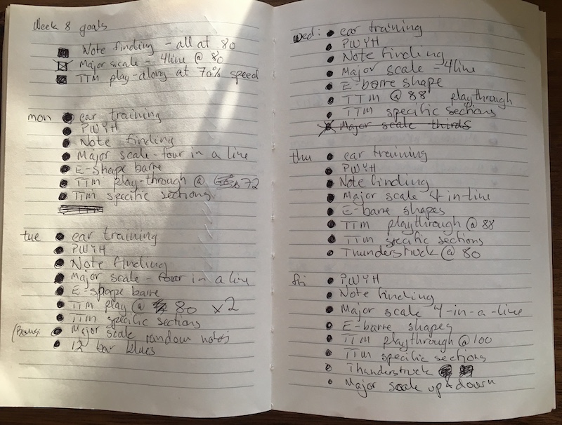 (Part of) Week 8 Goal Journal Entry